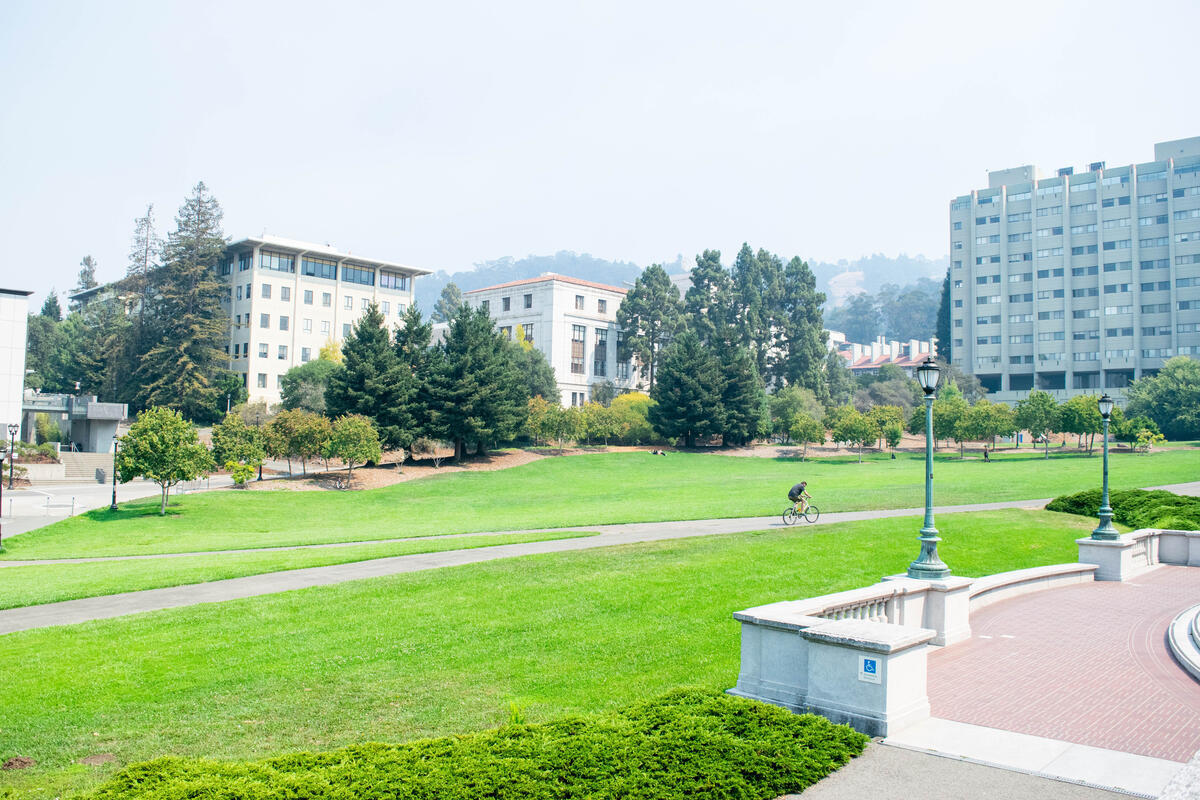 Image of Berkeley campus scene