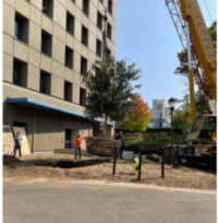 Image of oak tree being planted at the Social Science Building
